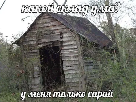 Какой склад ума?