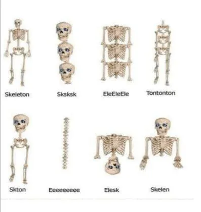 Skeleton Name Variations