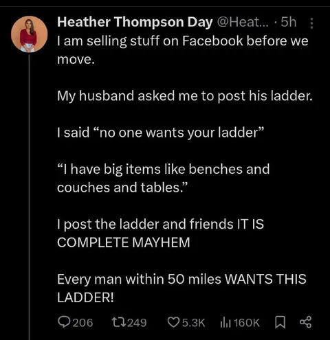 The Ladder Everyone Wants