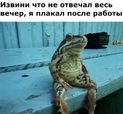 Лягушка плакала после работы
