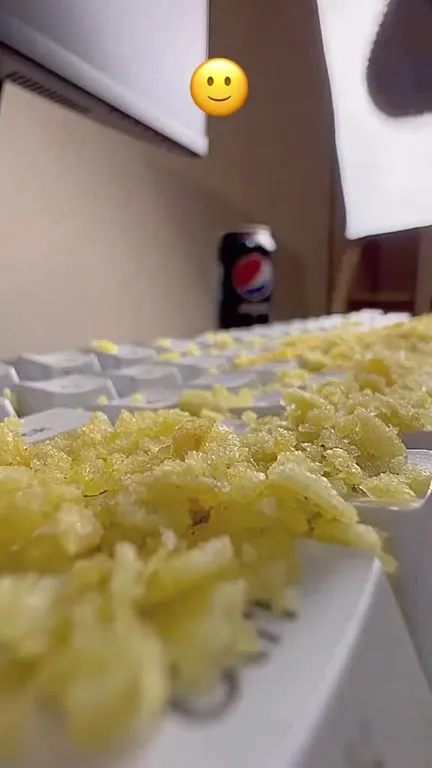 Печатает картошкой
