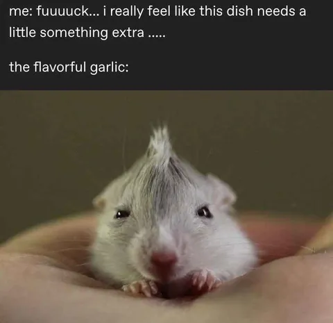 Flavorful Garlic Rat