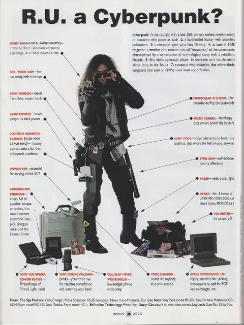 R.U. a Cyberpunk?