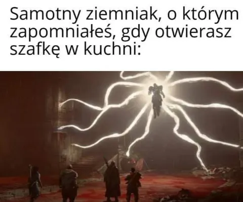 Samotny ziemniak w szafce