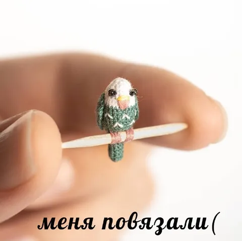 Меня повязали