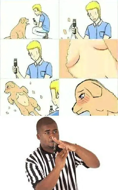 Собака и странный свисток