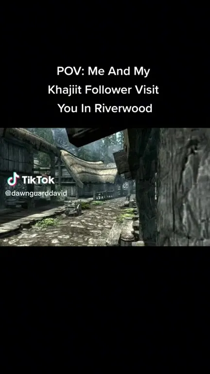 Khajiit visits Riverwood