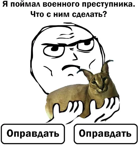 Я поймал военного преступника