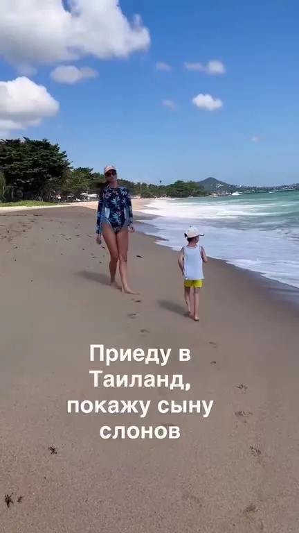 Слоны оказались в упаковке пива