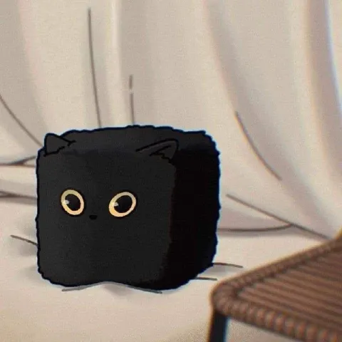 Чёрный квадратный кот