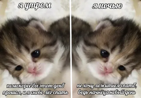 Утром хочу спать, ночью не хочу