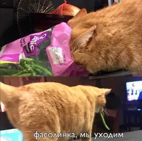 Фасолинка, мы уходим