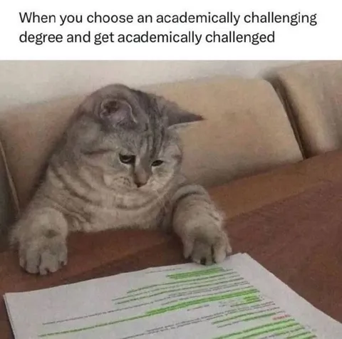 Academically Challenged Cat