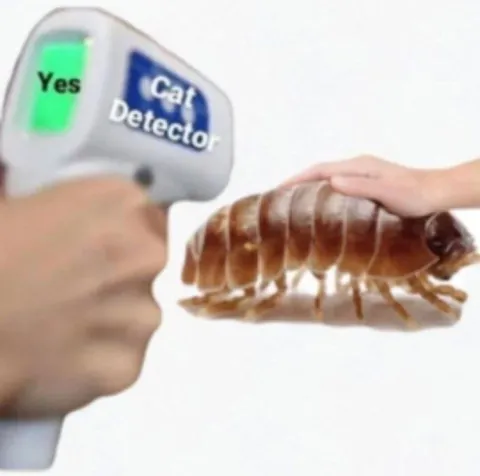 Cat Detector Says Yes