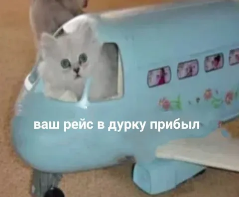 Ваш рейс в дурку прибыл