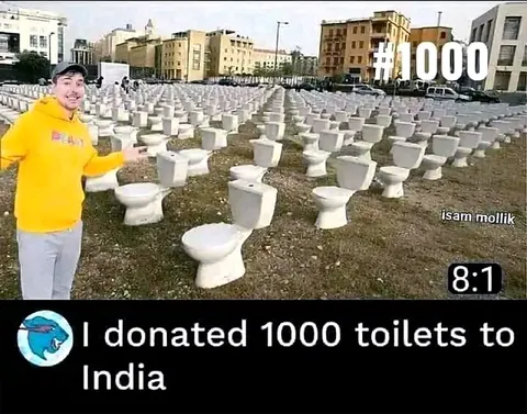 I Donated 1000 Toilets to India