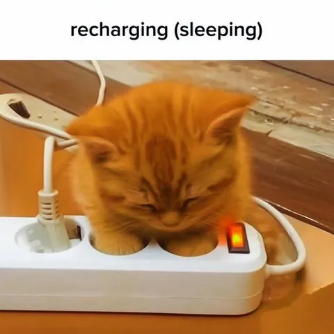 Cat Recharging While Sleeping