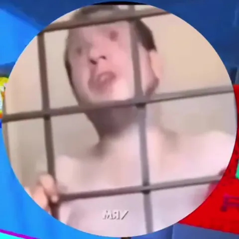 Мужчина за решёткой говорит «мяу»