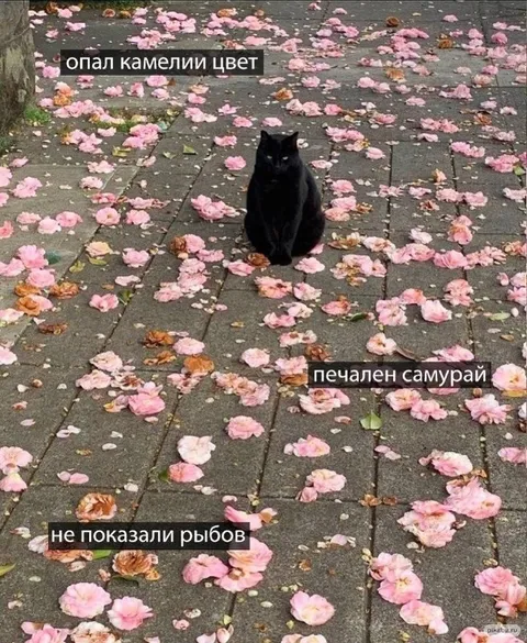 Печальный самурай среди цветов