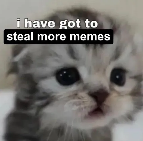 I Have Got to Steal More Memes