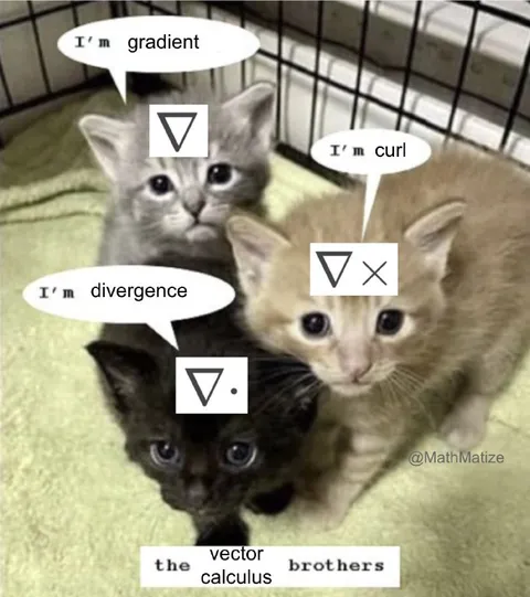 Vector Calculus Brothers