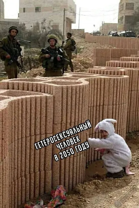 Гетеросексуальный человек в 2050 году