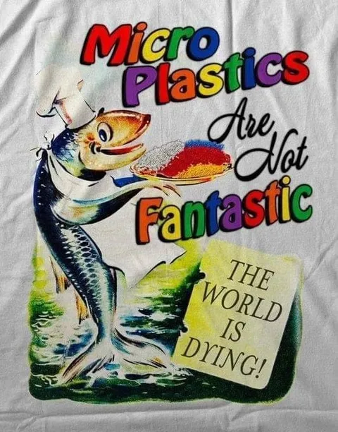 Micro Plastics Are Not Fantastic