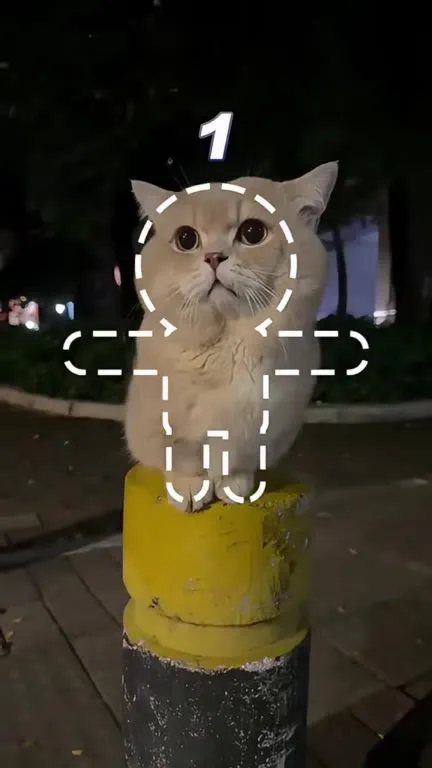 Кот знакомится с котом-игрушкой