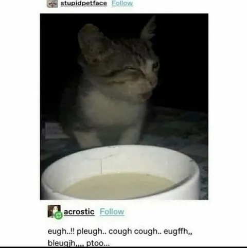 Cat Pretends to Be Sick