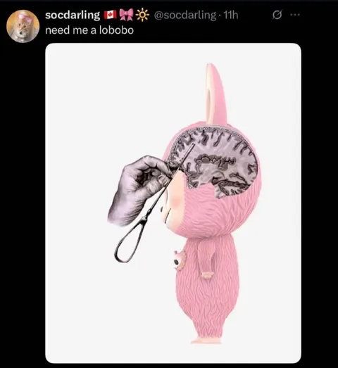 Need Me a Lobobo
