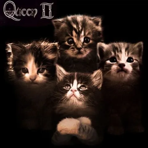 Queen II Kittens