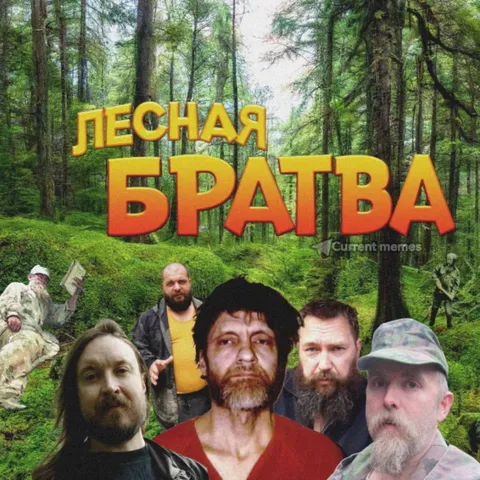 Лесная братва в лесу