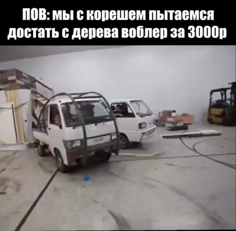 Достать воблера с дерева за 3000р