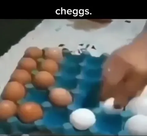 Шахматная партия из яиц