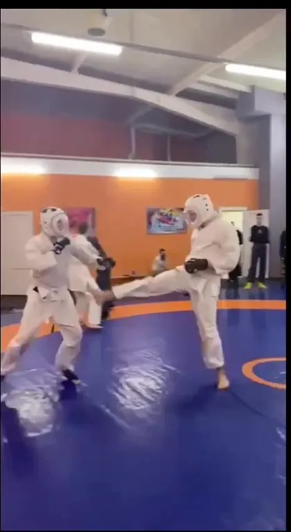 Каратисты под тему Ёжика