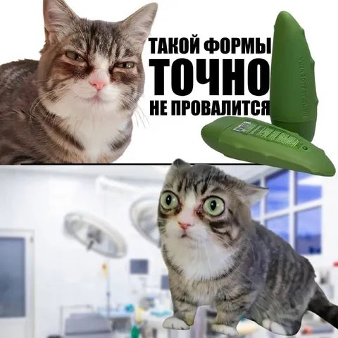 Кот и идеальная форма