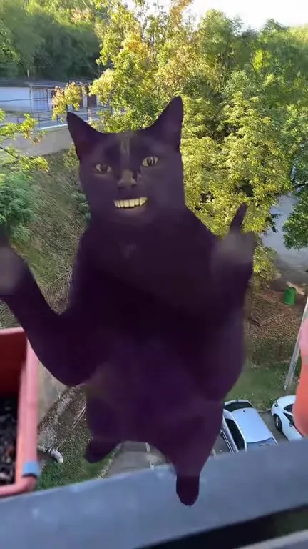 Фиолетовый кот у окна