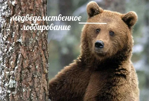 Медведомственное любирование