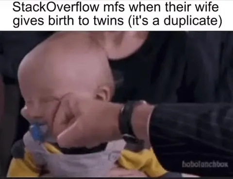 StackOverflow Duplicate Twins