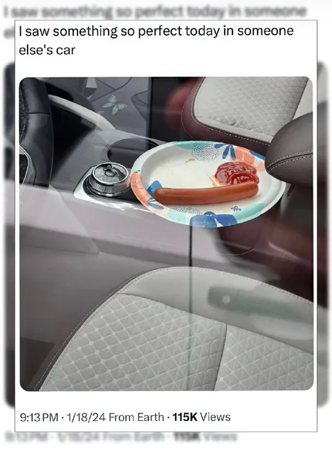 Perfect Hot Dog in Someone Else's Car
