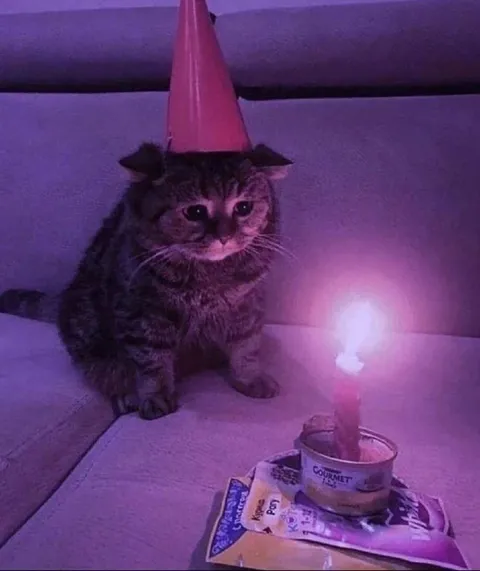 Sad Cat Birthday Party