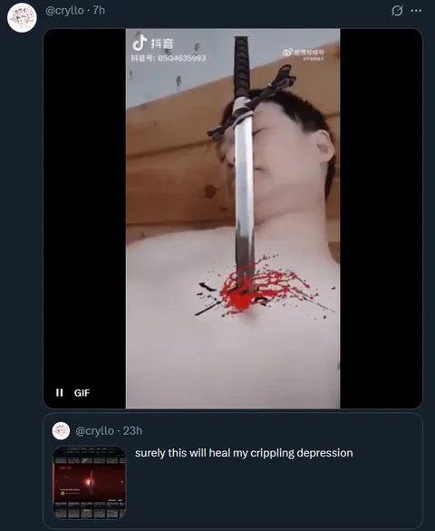 Sword Through the Face