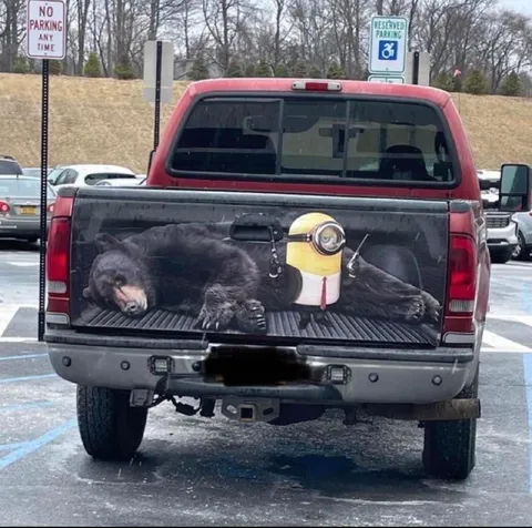 Minion Between Two Bears