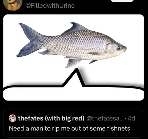 Man Ripping Me From Fishnets