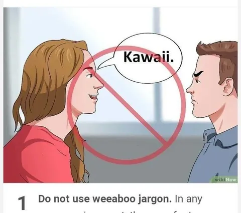 Do Not Use Weeaboo Jargon