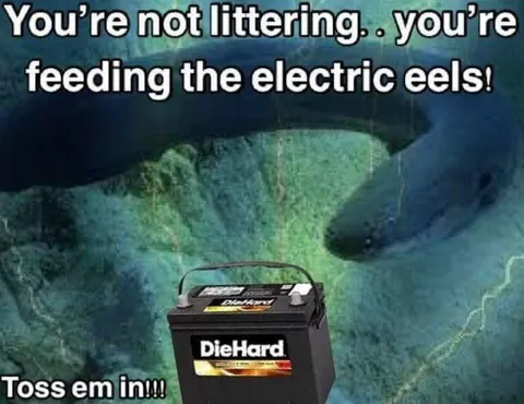 Feeding the Electric Eels