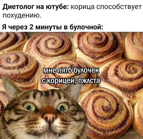 Диетолог и пять булочек с корицей