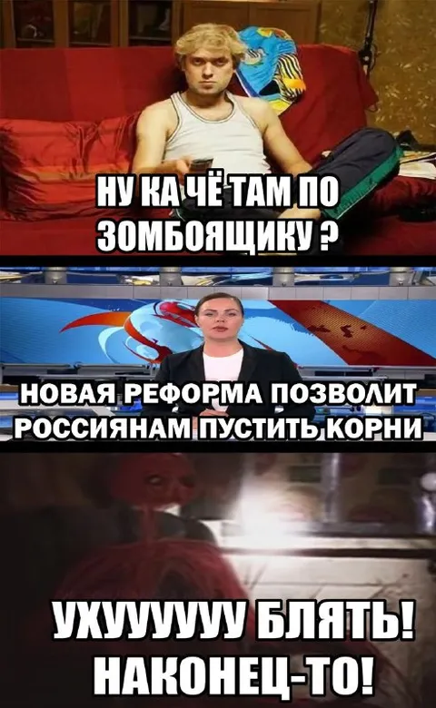 Новая реформа позволит пустить корни