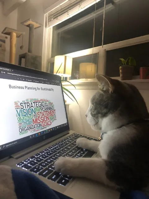 Cat Planning for Sustainability