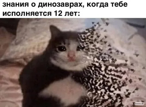Знания о динозаврах в 12 лет